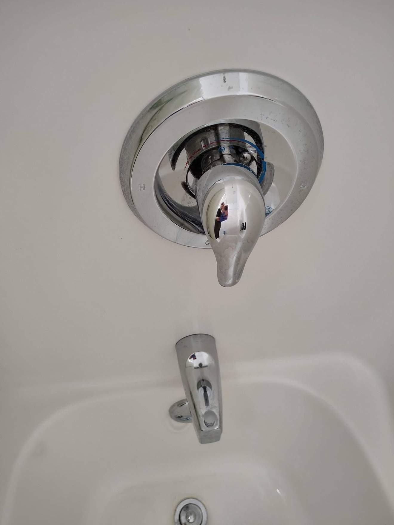 Same shower handle polished after cleaning
